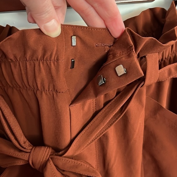 ATHLETA Skyline Rust Color Stretch Belted Casual Pull-on Ankle Pants Size 12 - Picture 6 of 15